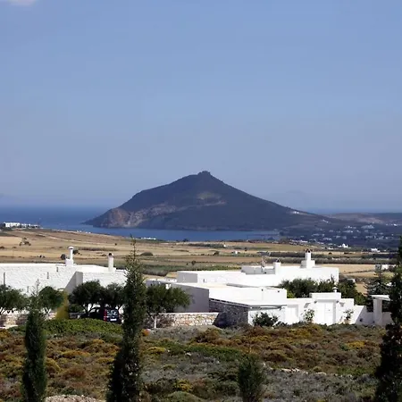 Zoi